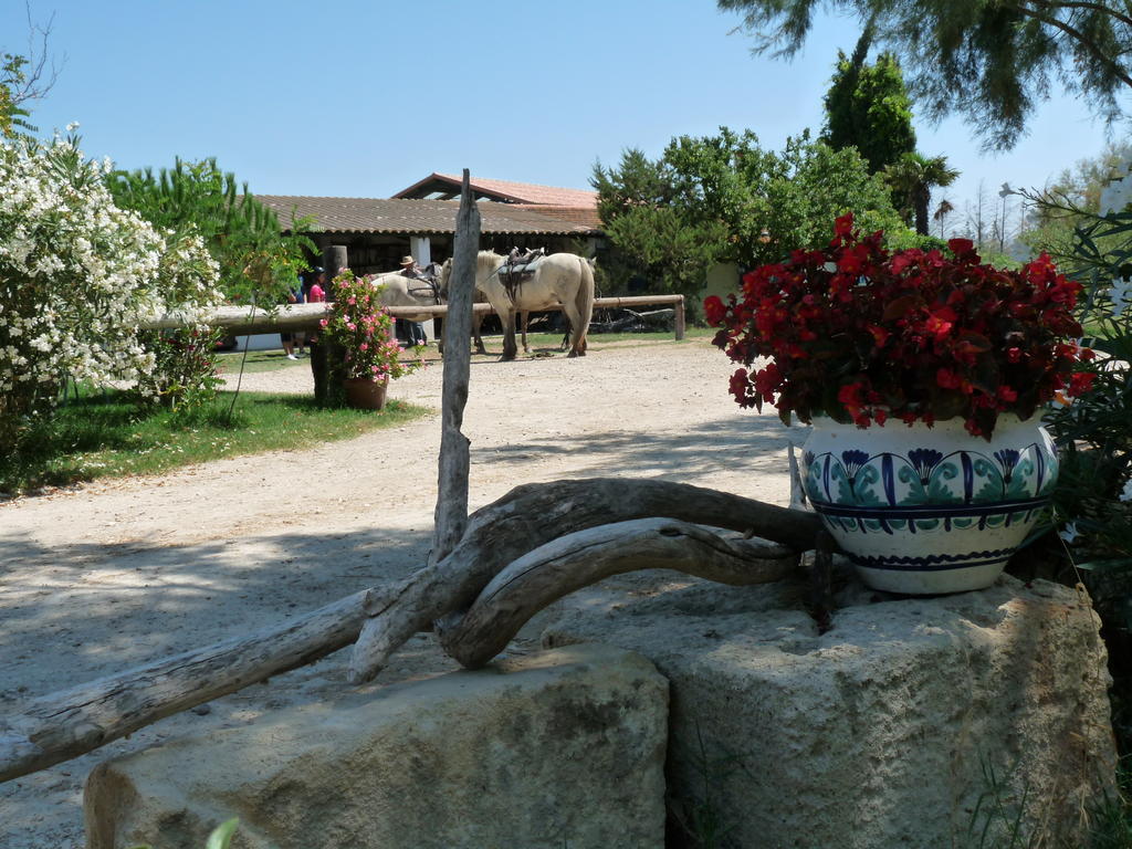 Bergerie D'Alivon En Camargue Bed and Breakfast Albaron Eksteriør billede
